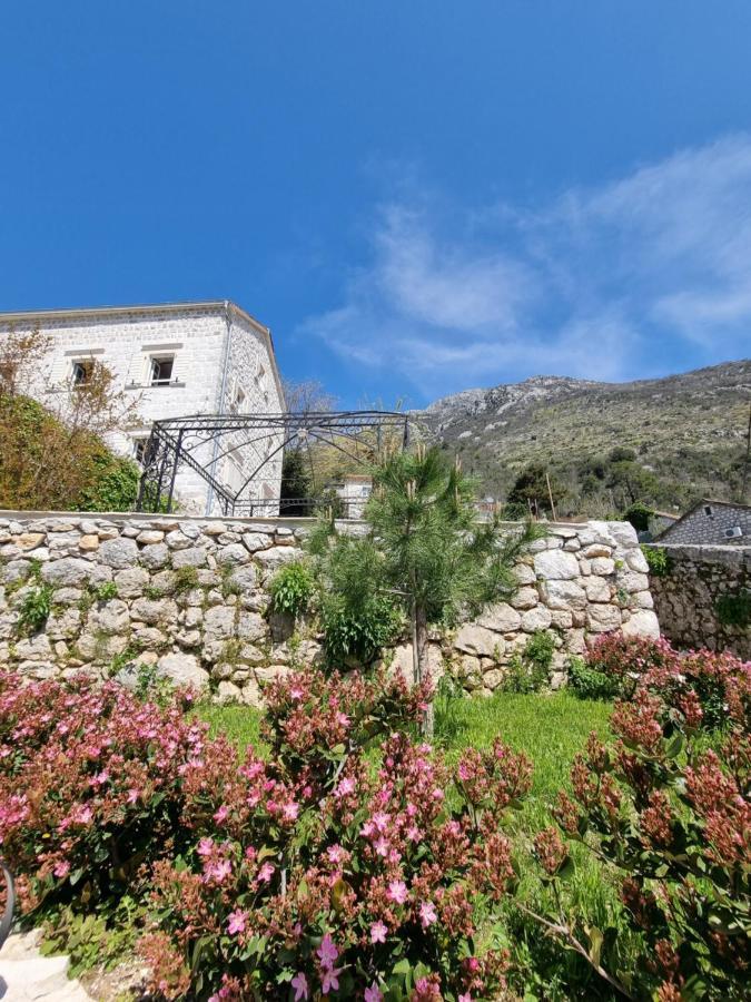 Casa Vita Nova Perast Exterior foto
